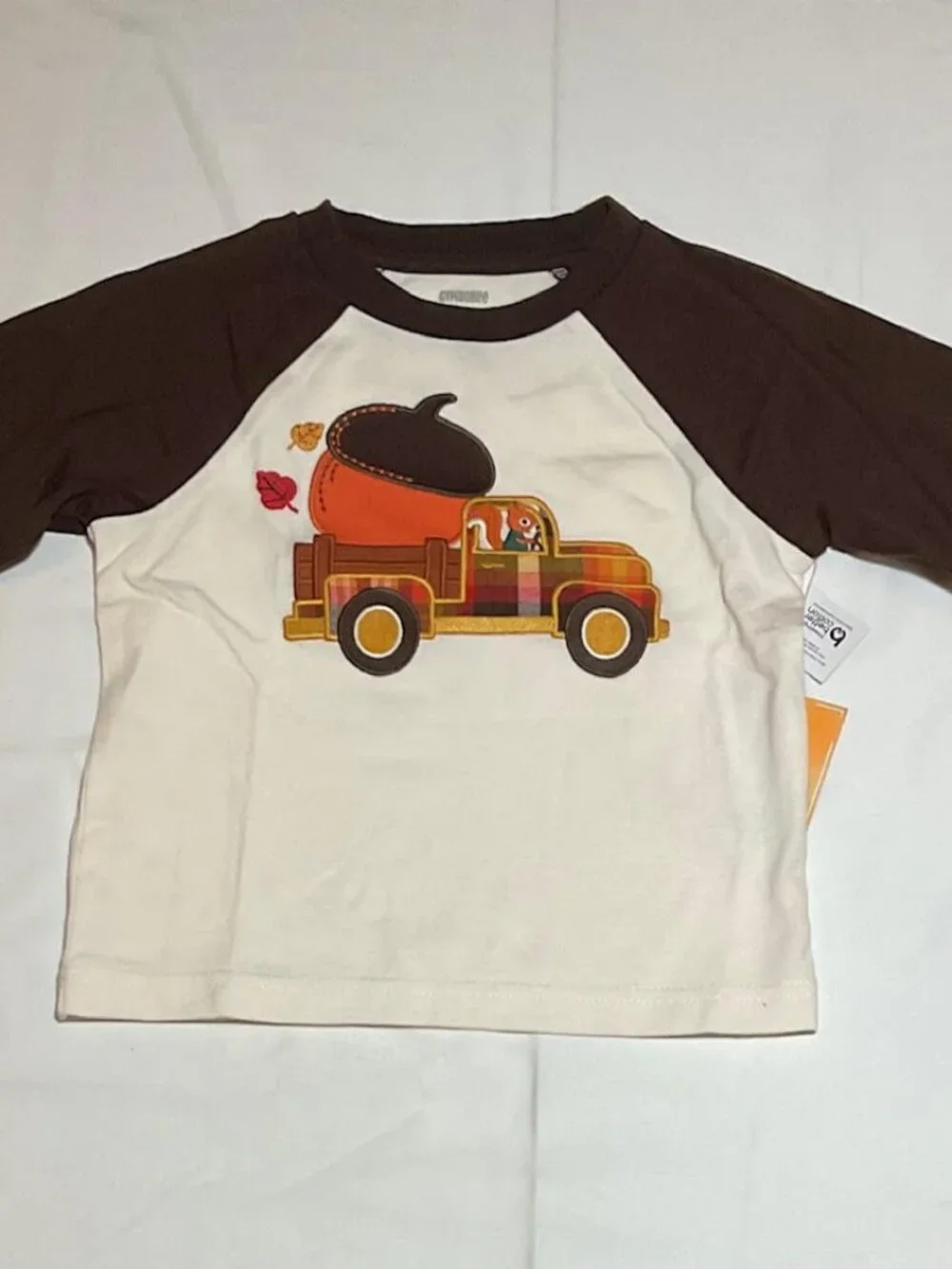 Gymboree Boys 12-18 Months Squirrel Acorn Truck Long Sleeve Raglan Top NWT